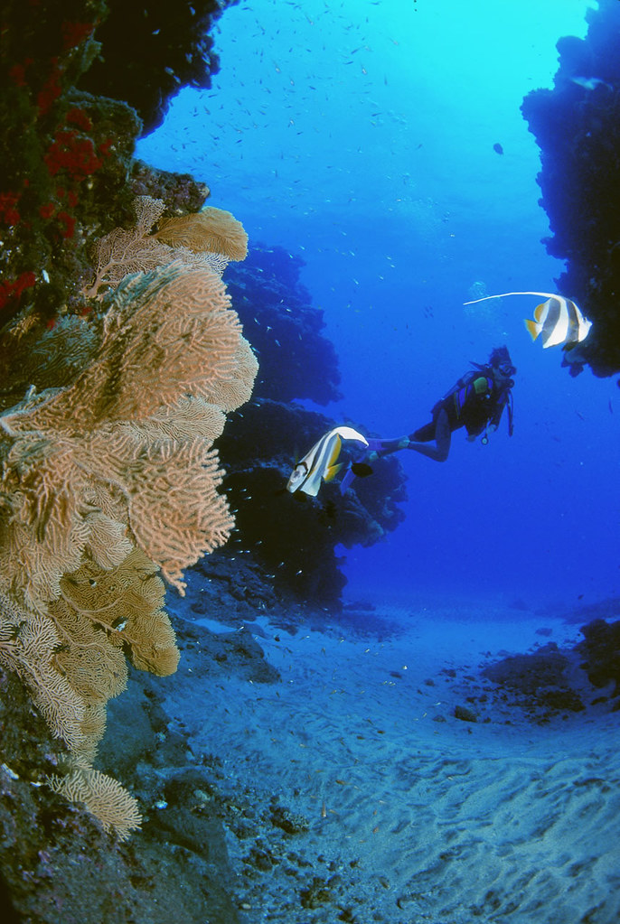 Services à l’île Maurice plongée sous-marine